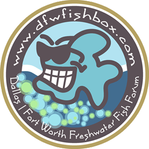 dfwfishbox.com