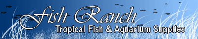 Fish Ranch
