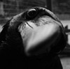 sunkenmetal's Avatar
