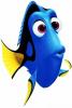 foreverconfused's Avatar