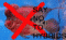 Cichlidfarm's Avatar