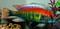 Andrew_B-6220